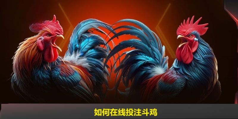 在线斗鸡游戏