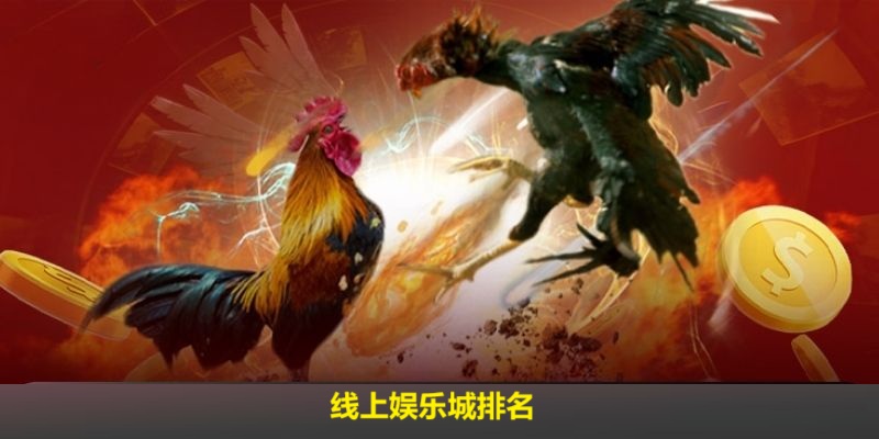 斗鸡投注
