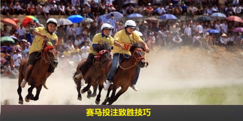 赛马投注致胜技巧