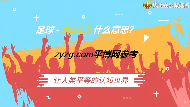足球大2/2.5什么意思的定义？