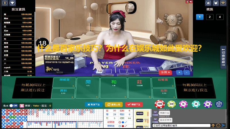 什么是百家乐技巧